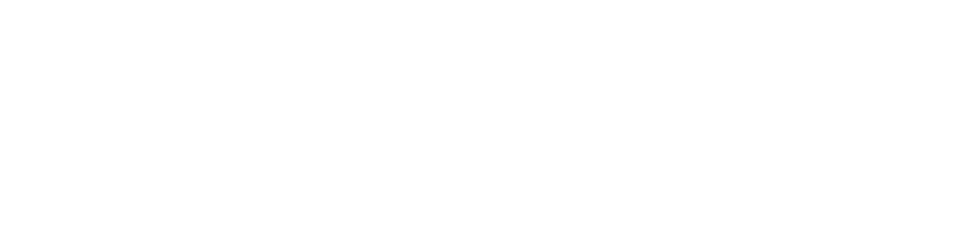 elektroveska